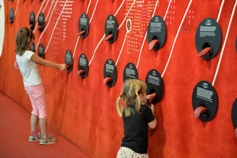 Le mur des langues au Musée de l'Homme